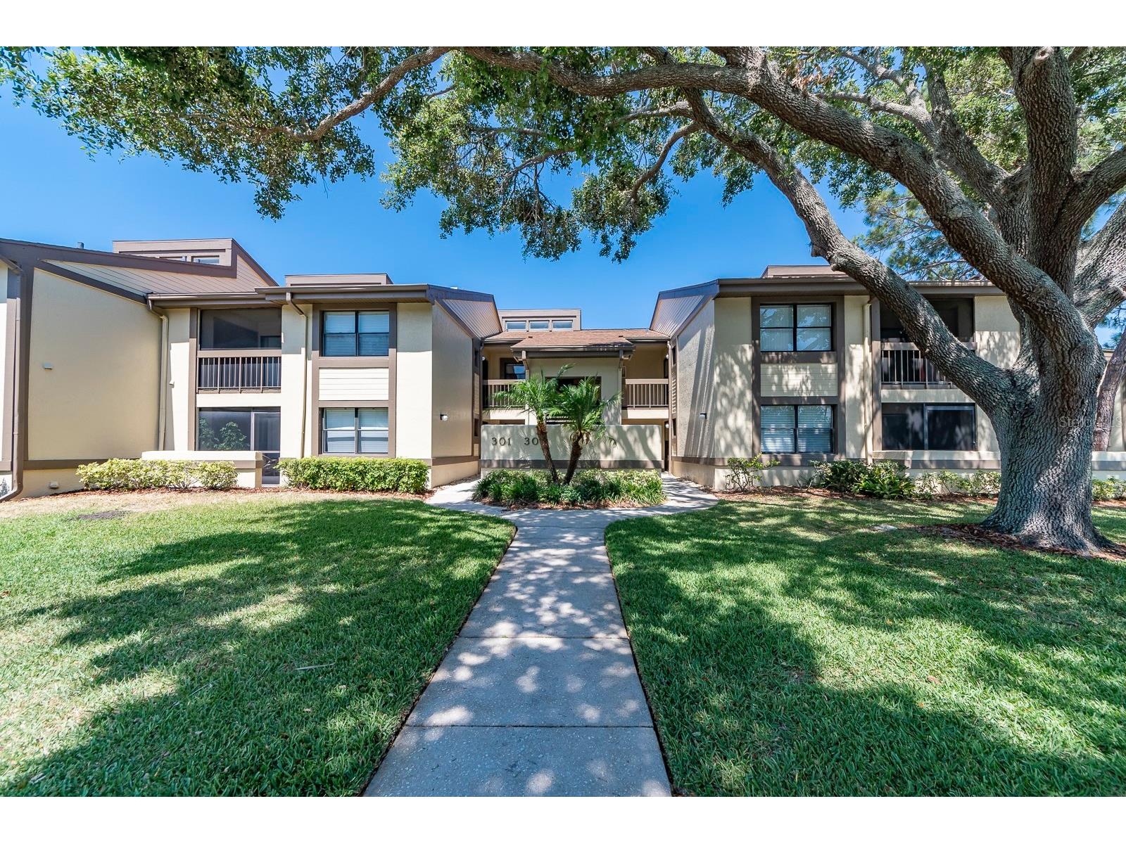 303 Woodlake Wynde Oldsmar FL 34677 TB8485200 image1