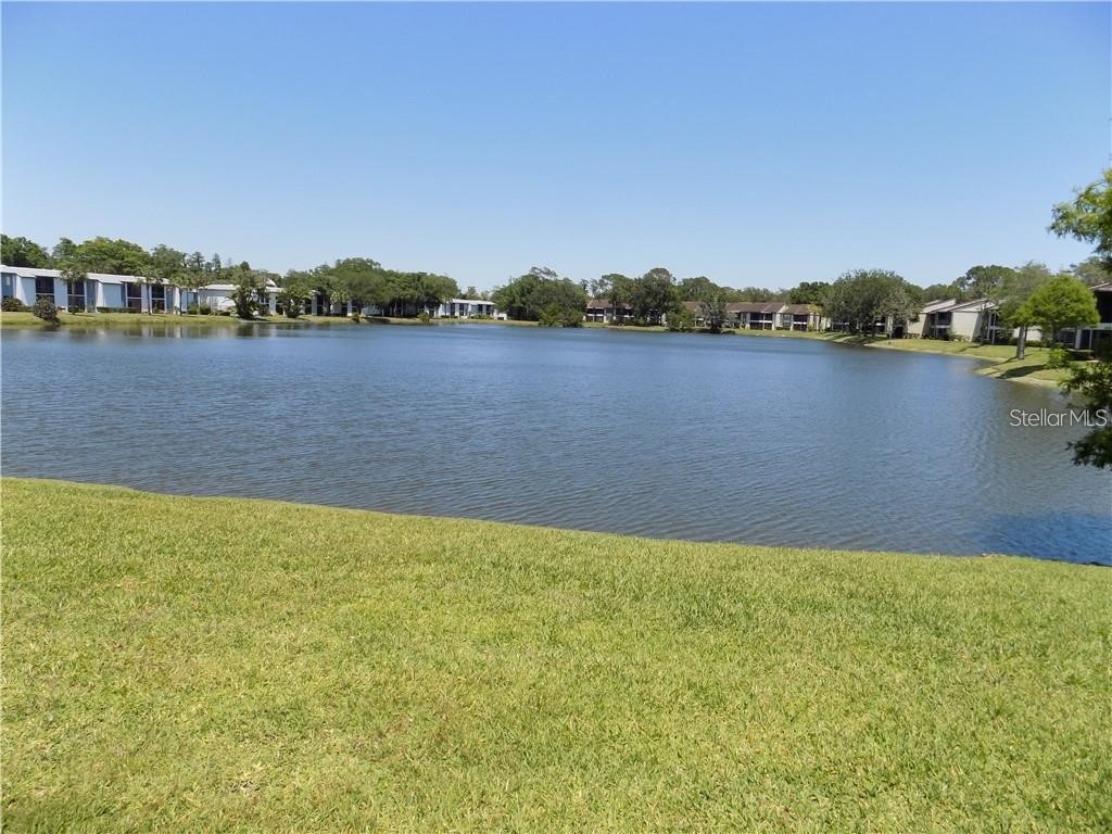 303 Woodlake Wynde Oldsmar FL 34677 TB8485200 image2