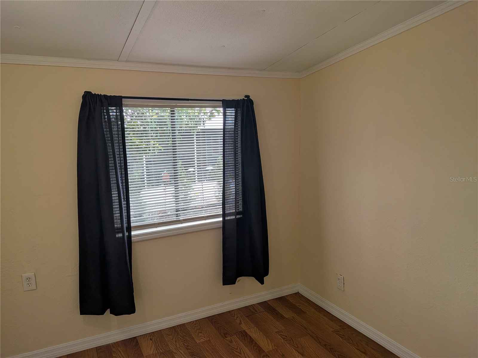3030 Beaver Creek Drive Wesley Chapel FL 33543 TB8515386 image13