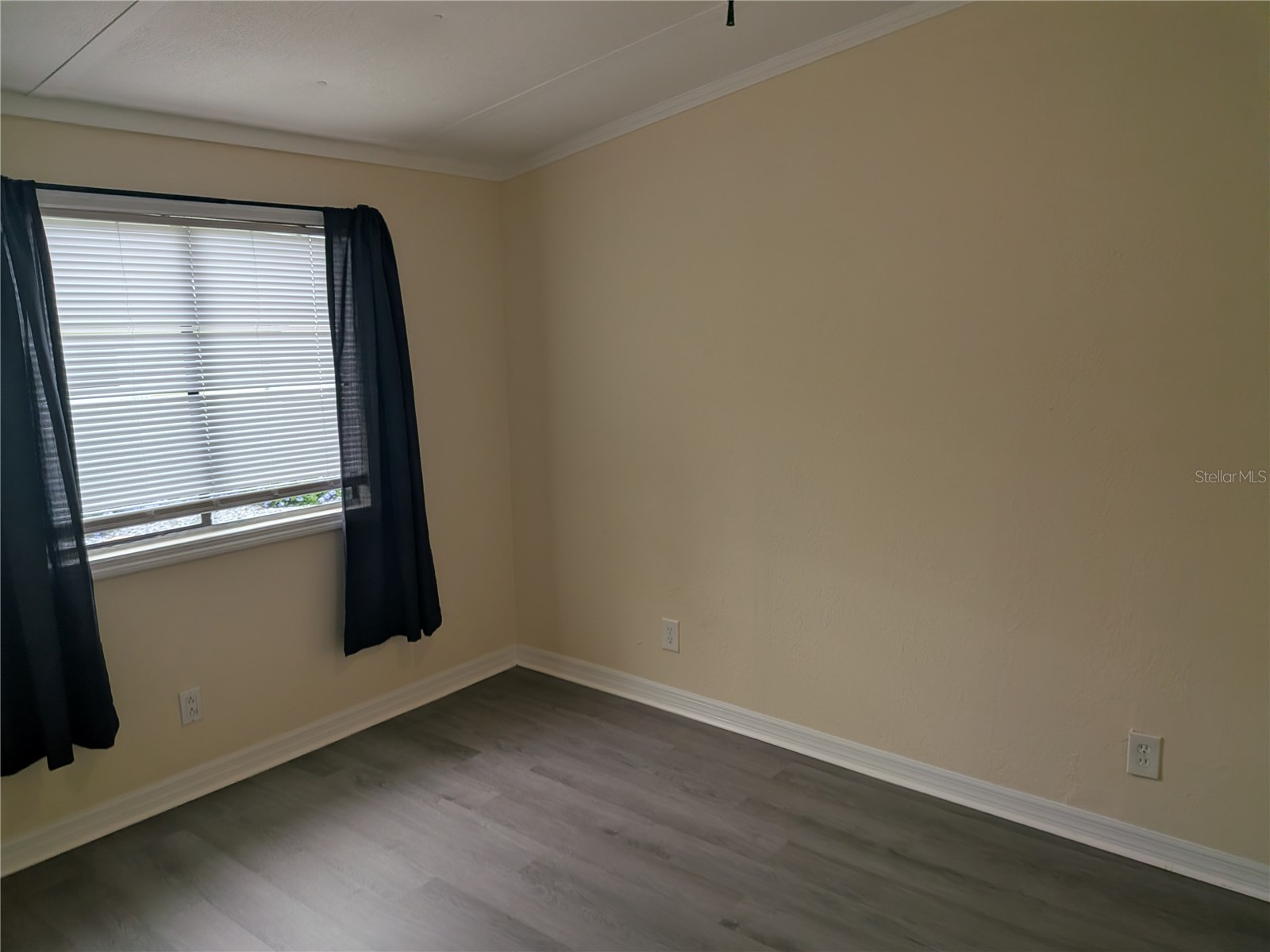 3030 Beaver Creek Drive Wesley Chapel FL 33543 TB8515386 image9