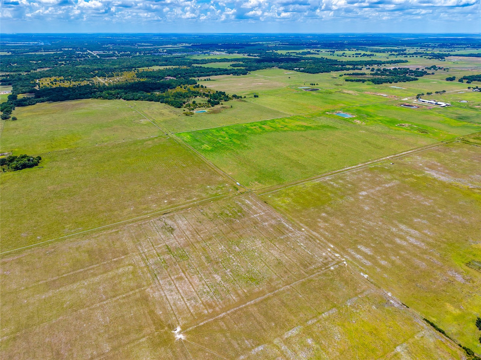 3030 N Nursery Road Zolfo Springs FL 33890 A4694198 image16