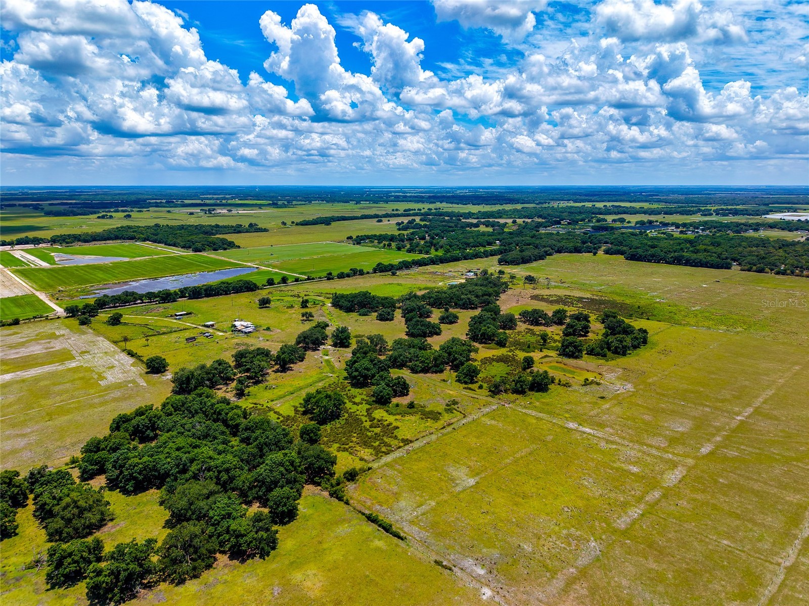3030 N Nursery Road Zolfo Springs FL 33890 A4694198 image26