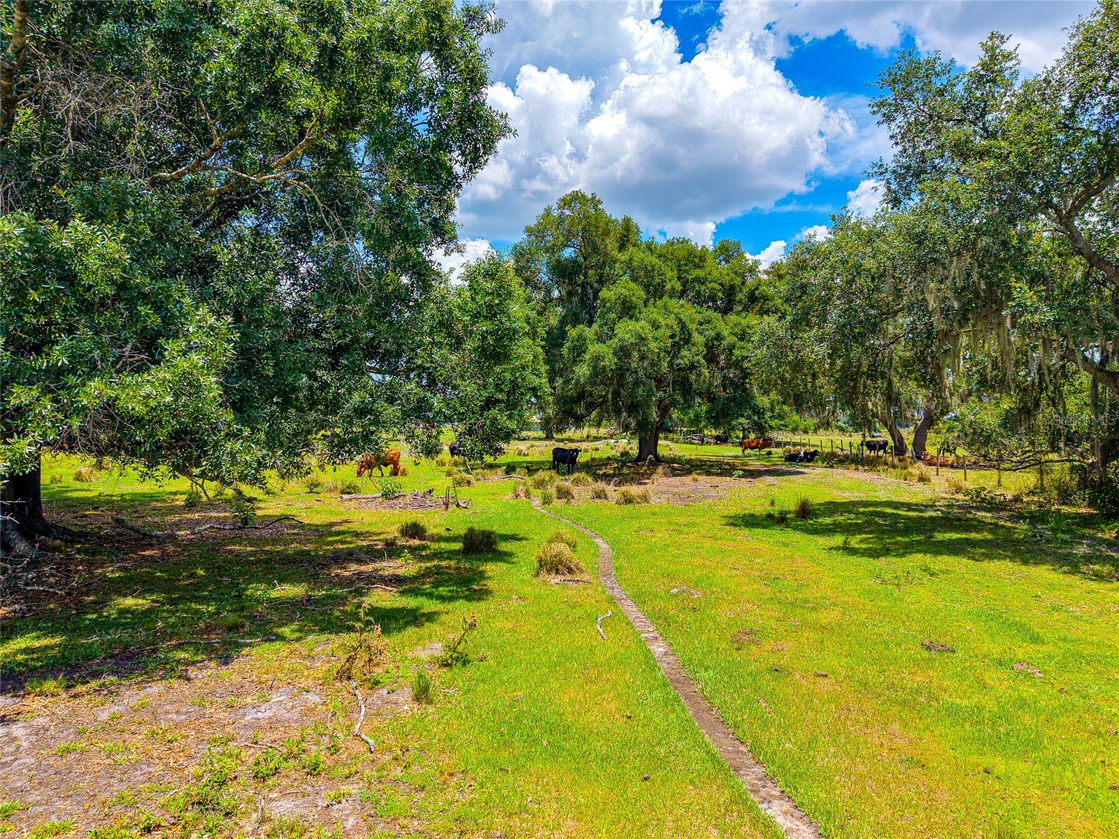 3030 N Nursery Road Zolfo Springs FL 33890 A4694198 image30