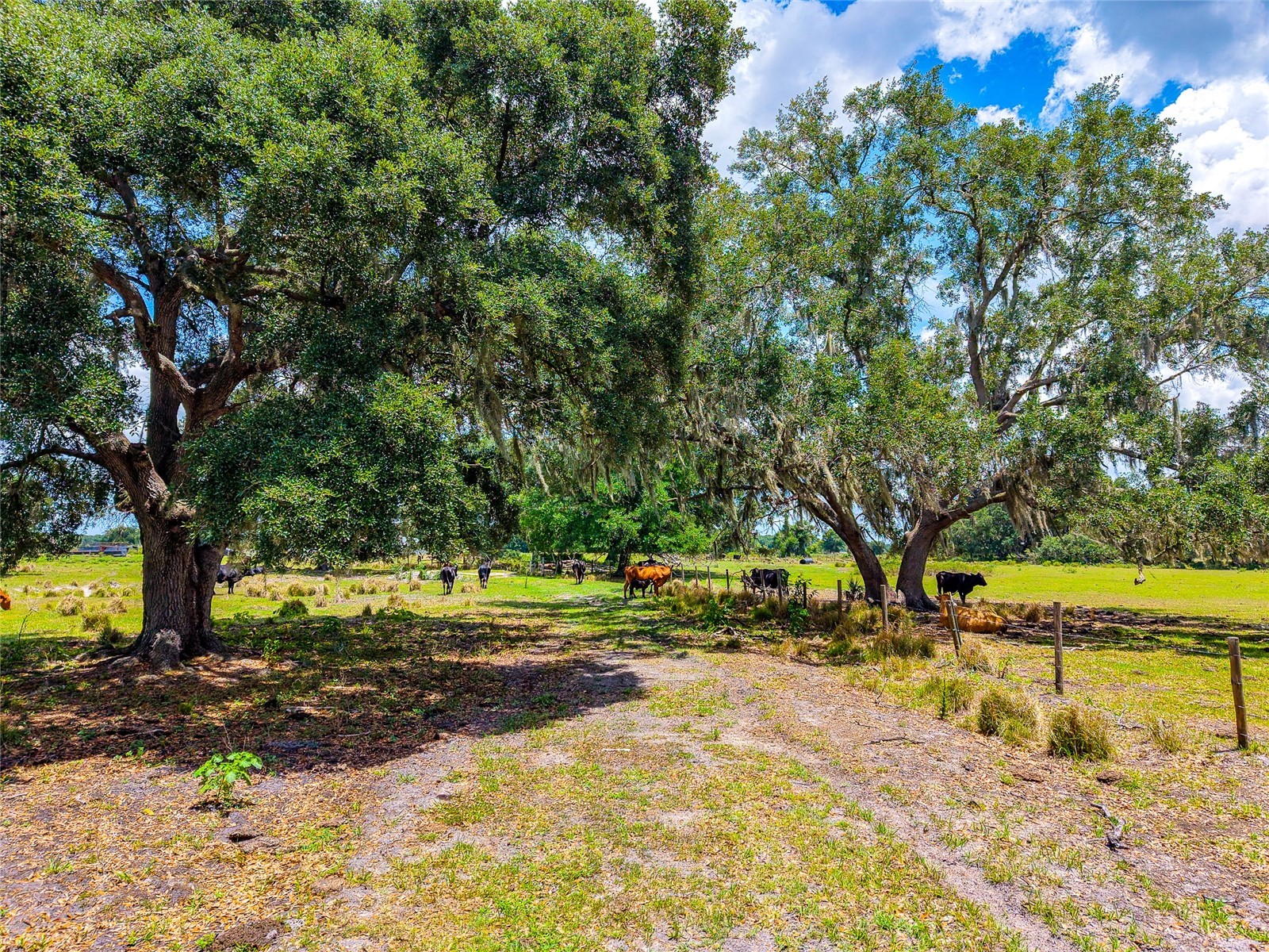 3030 N Nursery Road Zolfo Springs FL 33890 A4694198 image31