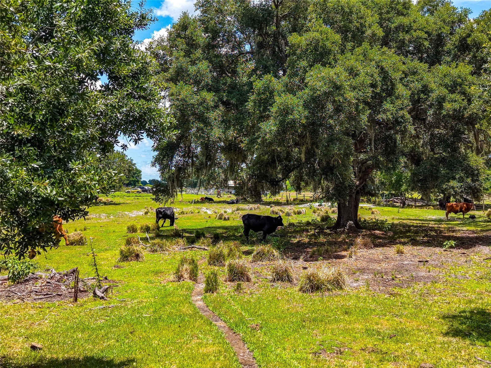 3030 N Nursery Road Zolfo Springs FL 33890 A4694198 image32