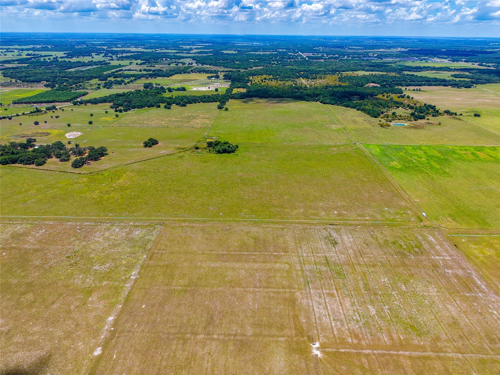 3030 N Nursery Road Zolfo Springs FL 33890 A4694198 image8