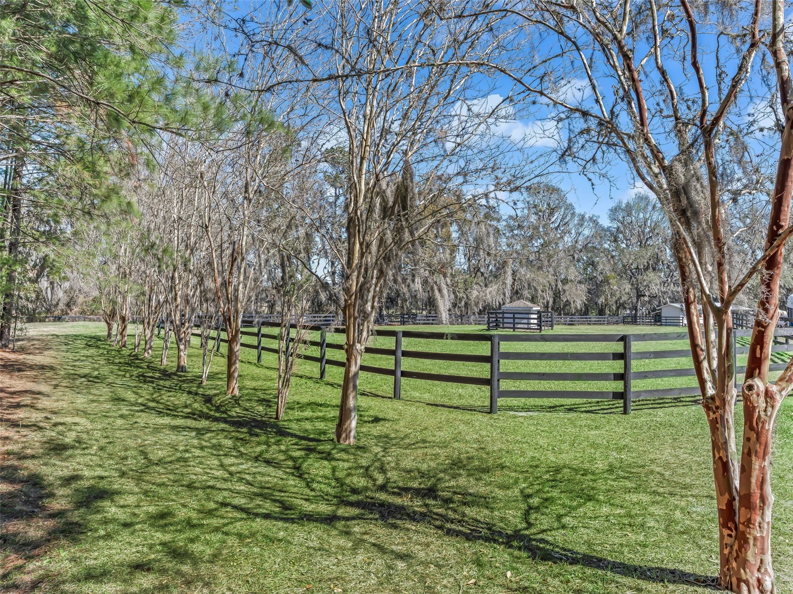 3030 NW 95th Avenue Road Ocala FL 34482 OM719536 image37