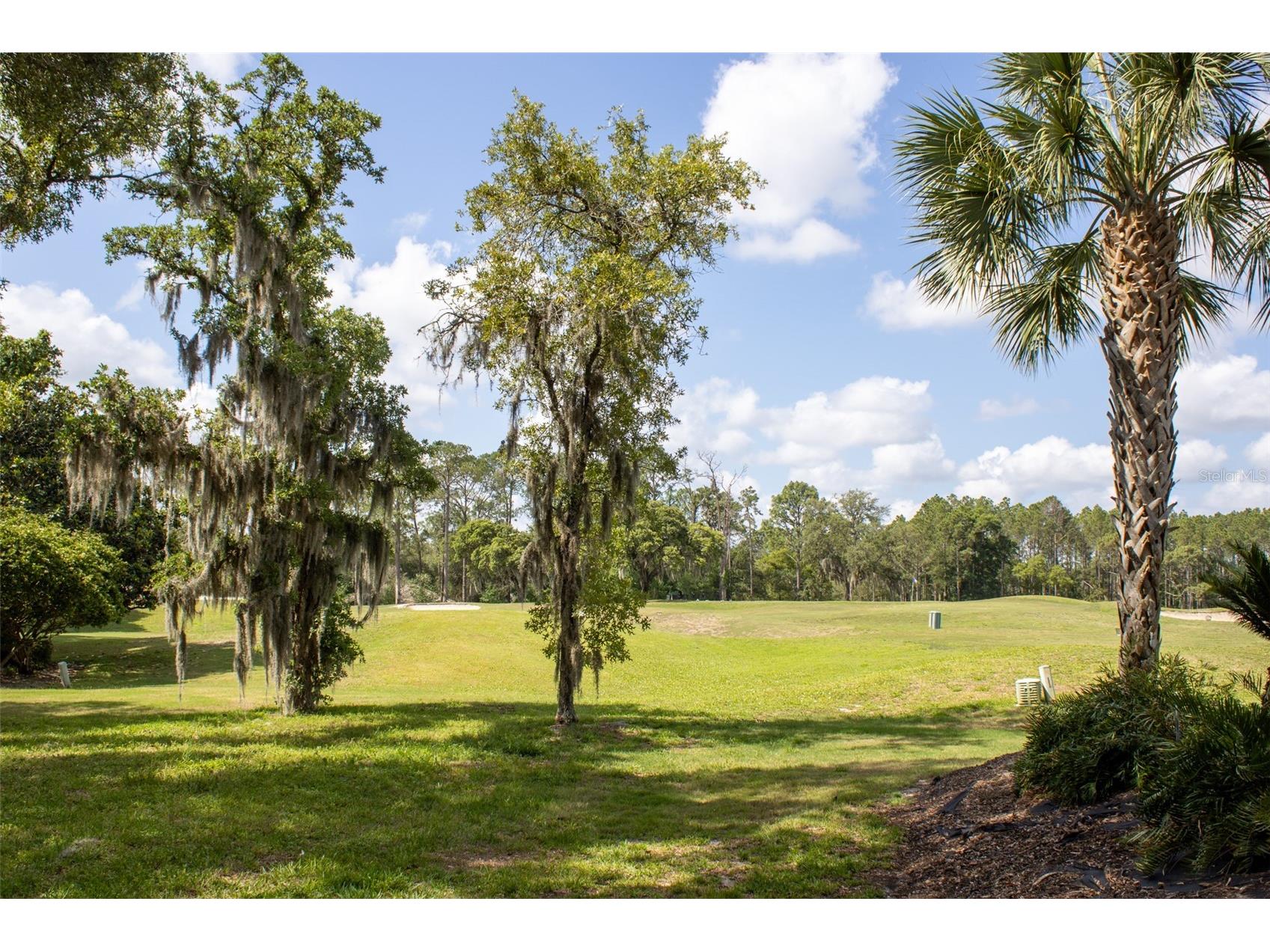 3030 W Bermuda Dunes Drive Lecanto FL 34461 W7882622 image21