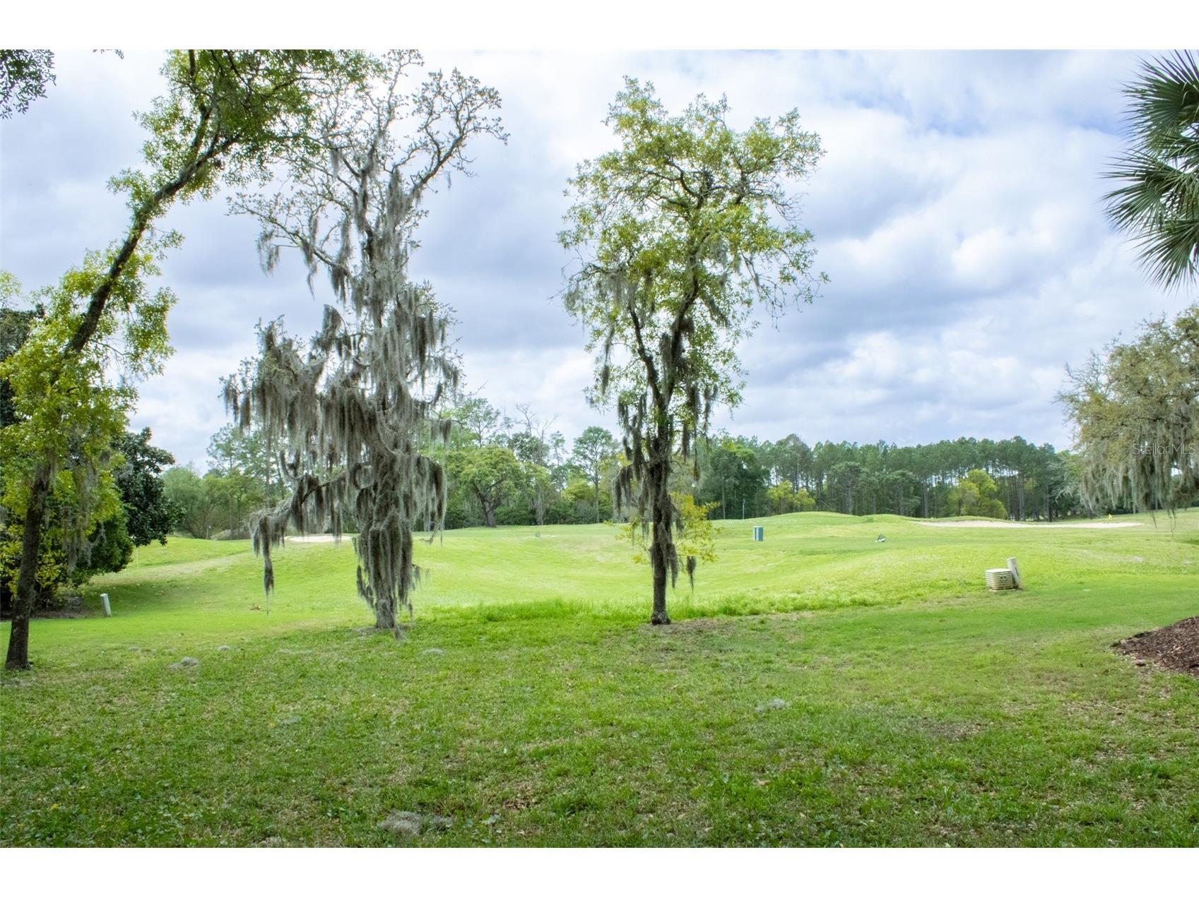 3030 W Bermuda Dunes Drive Lecanto FL 34461 W7882622 image22
