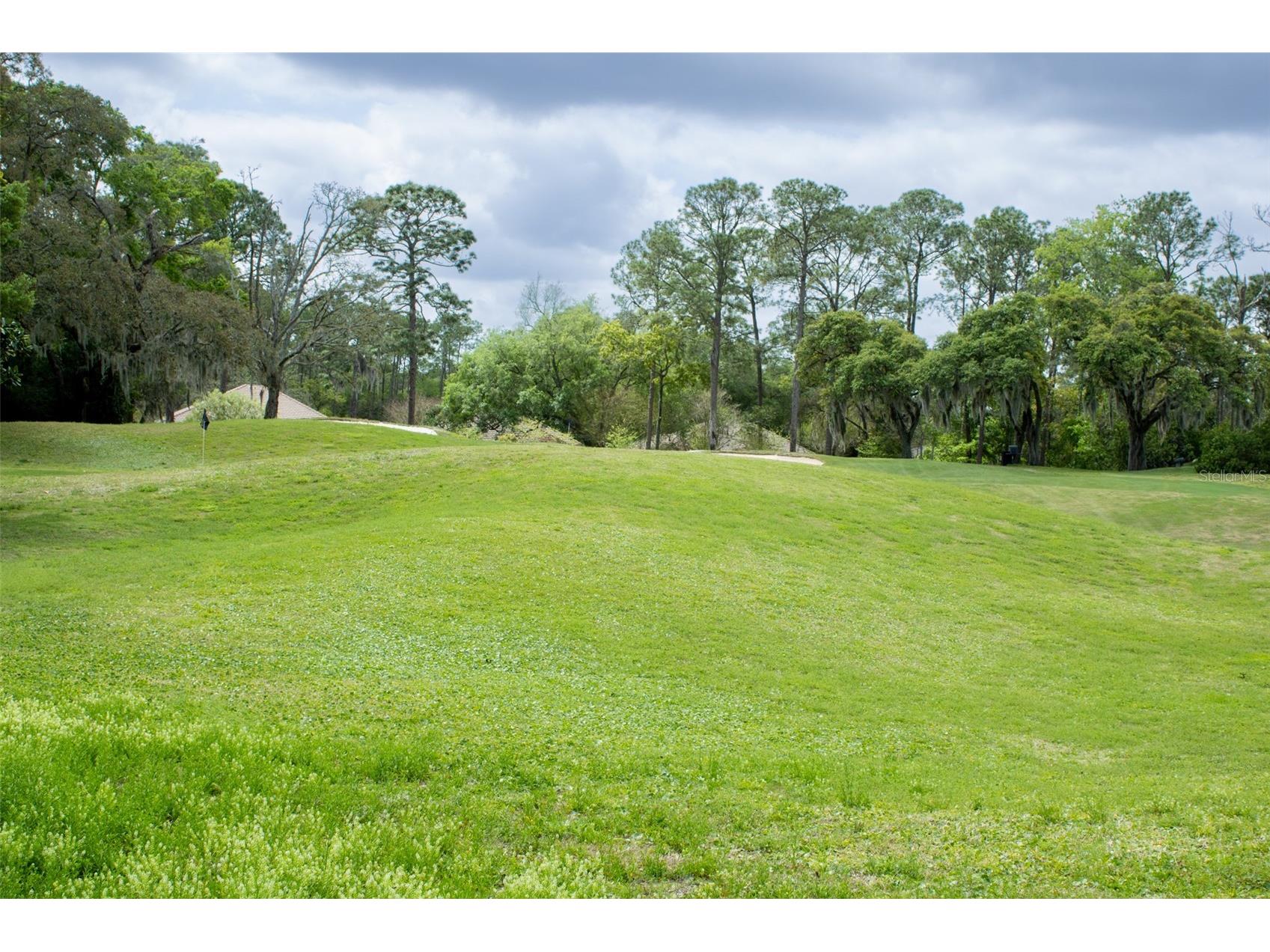 3030 W Bermuda Dunes Drive Lecanto FL 34461 W7882622 image23