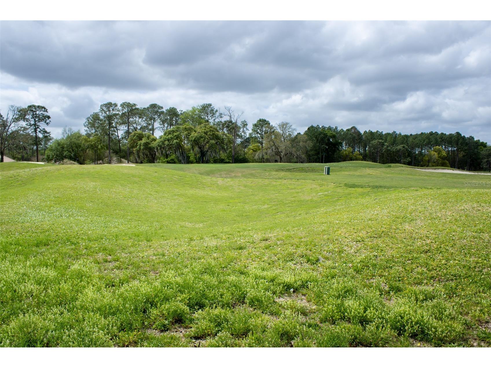 3030 W Bermuda Dunes Drive Lecanto FL 34461 W7882622 image24