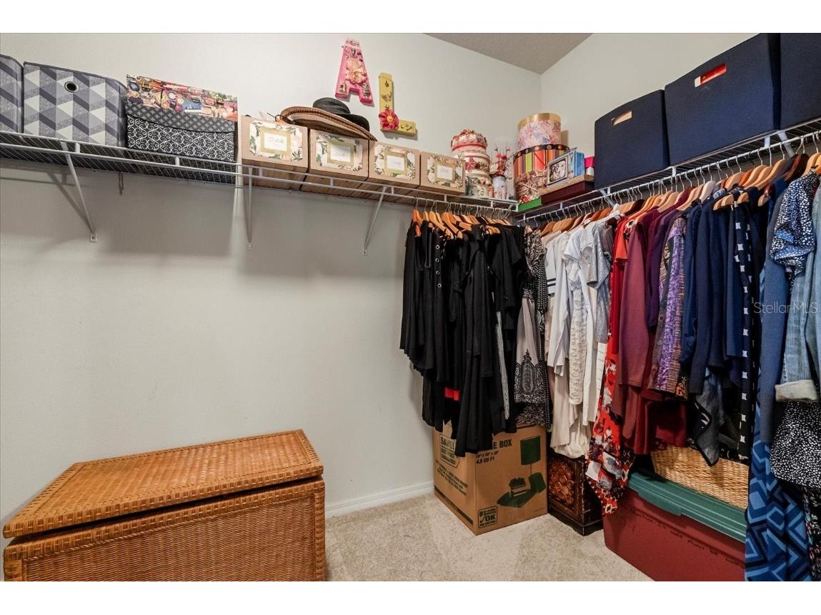 30300 Hackney Loop Mount Dora FL 32757 G5099162 image26