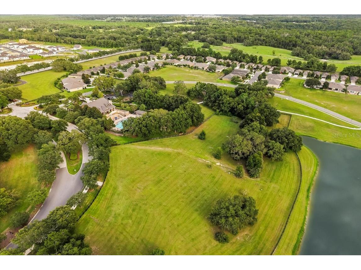 30300 Hackney Loop Mount Dora FL 32757 G5099162 image46