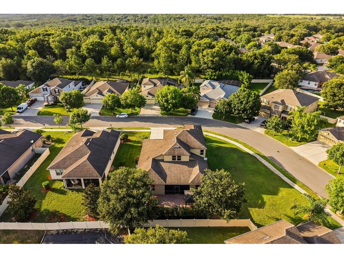 30300 Hackney Loop Mount Dora FL 32757 G5099162 image5