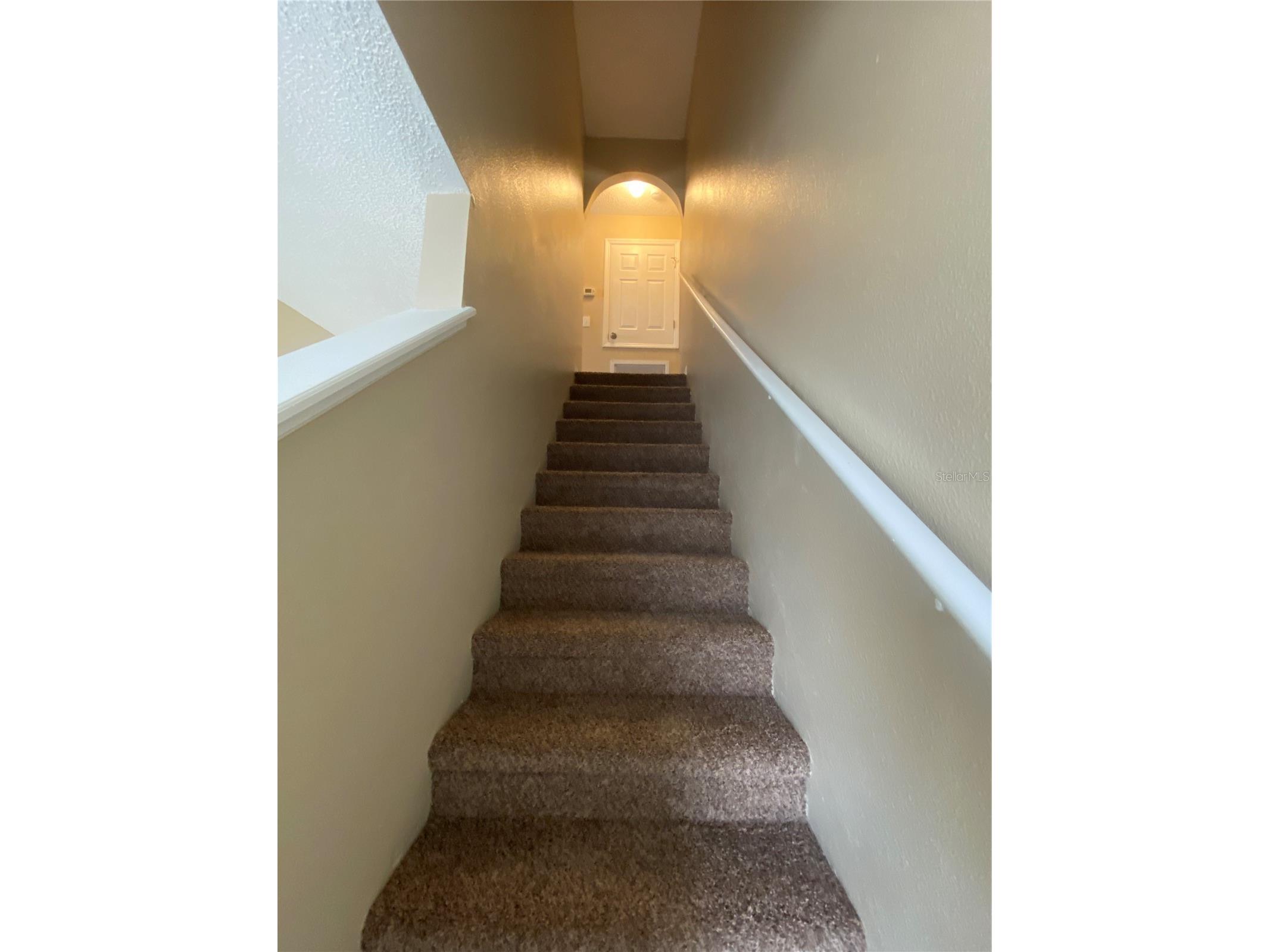 30302 Double Drive Wesley Chapel FL 33545 TB8517140 image13