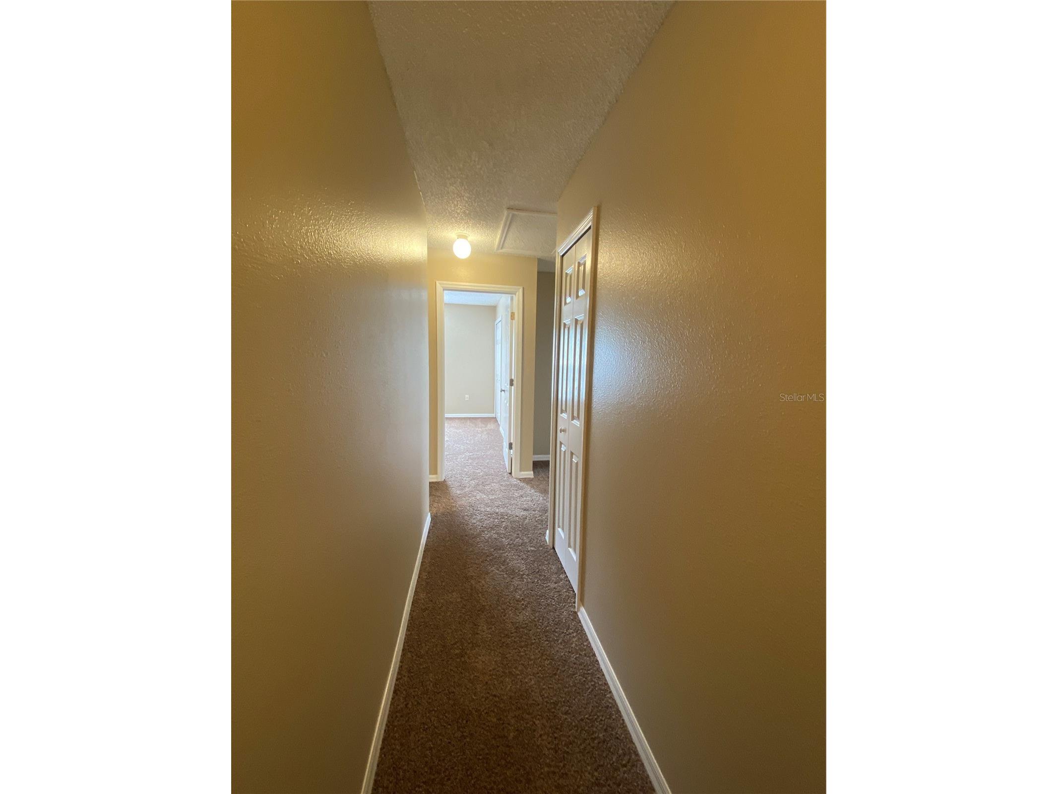 30302 Double Drive Wesley Chapel FL 33545 TB8517140 image16