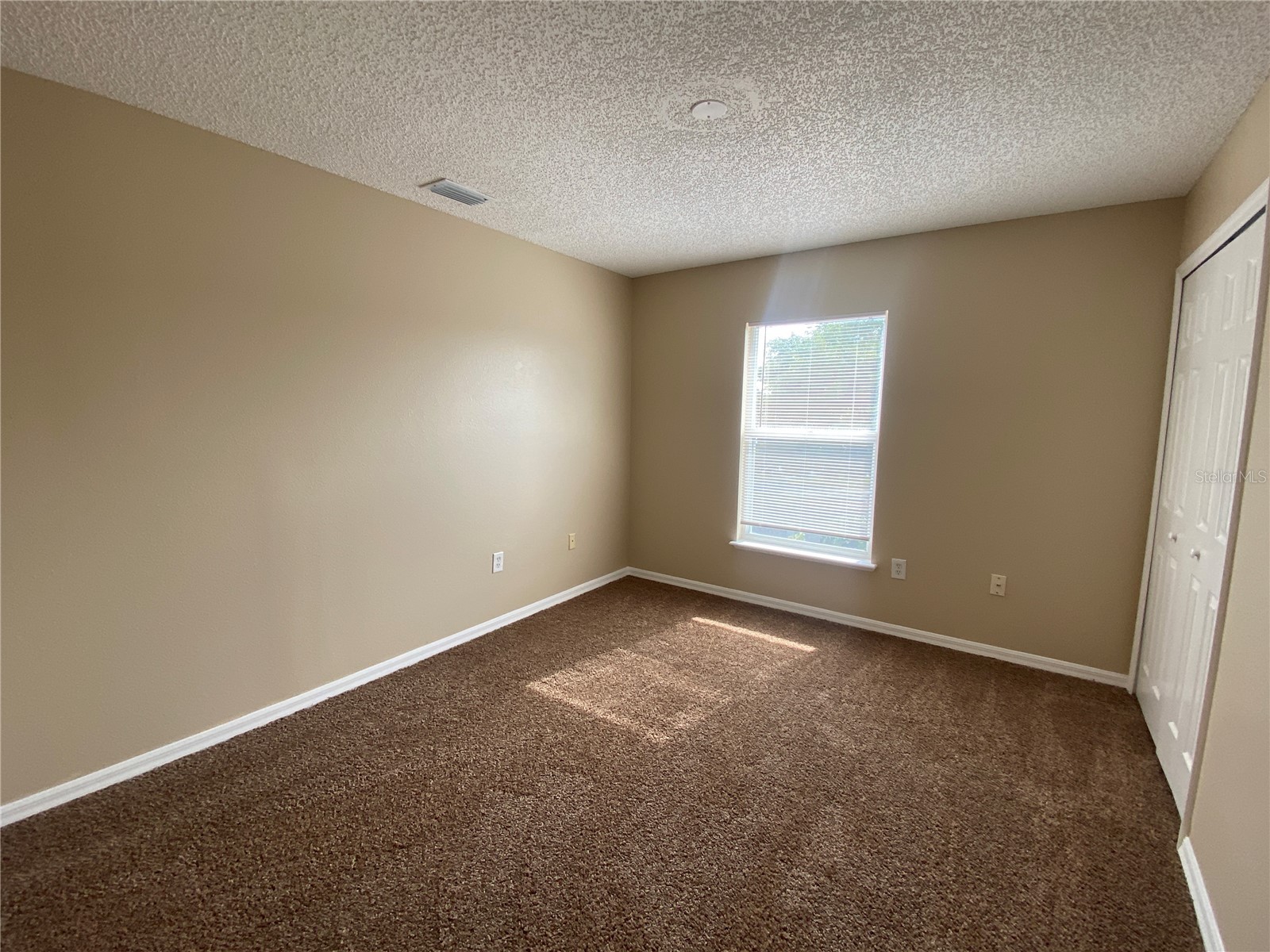 30302 Double Drive Wesley Chapel FL 33545 TB8517140 image17