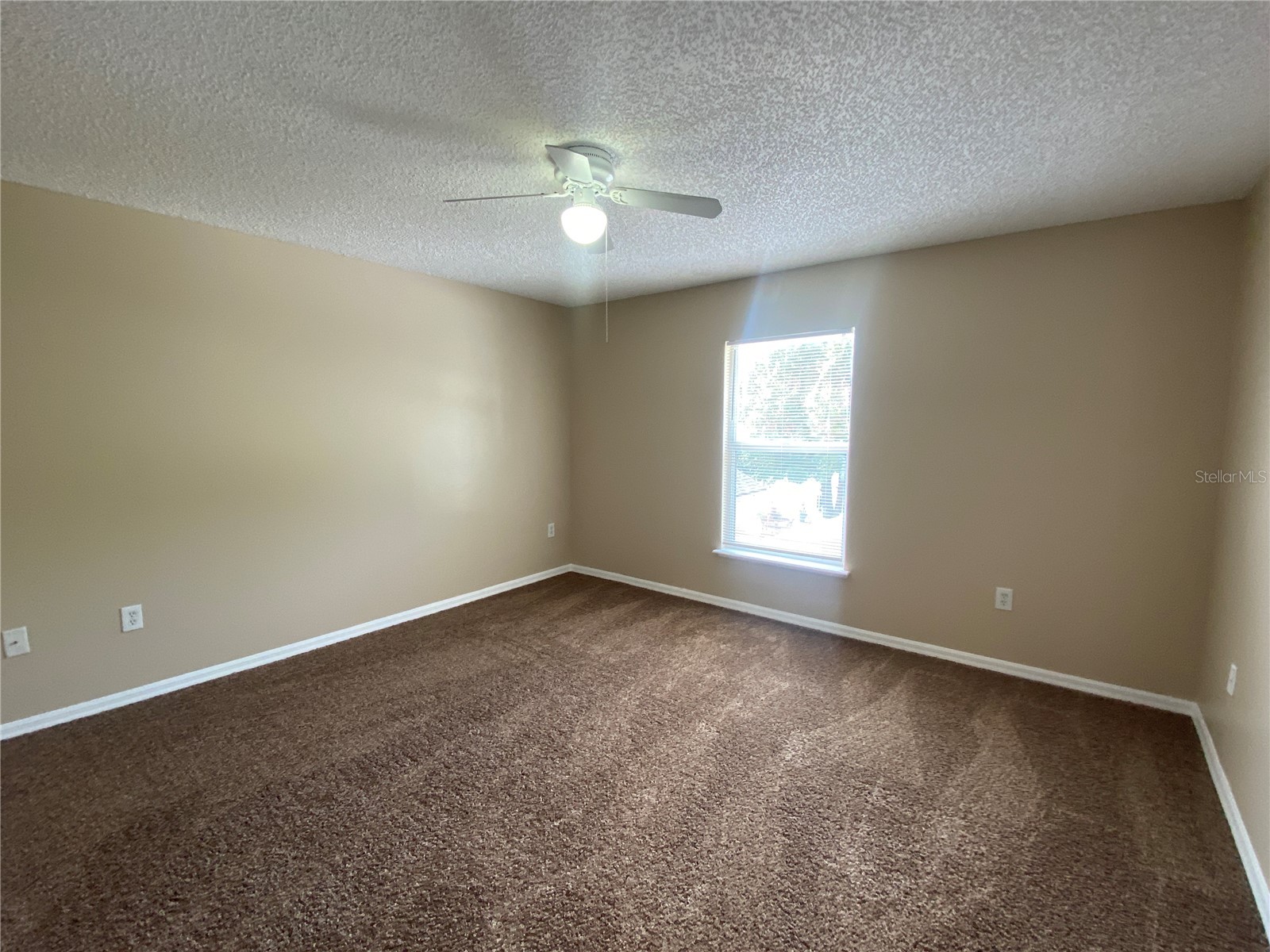 30302 Double Drive Wesley Chapel FL 33545 TB8517140 image18