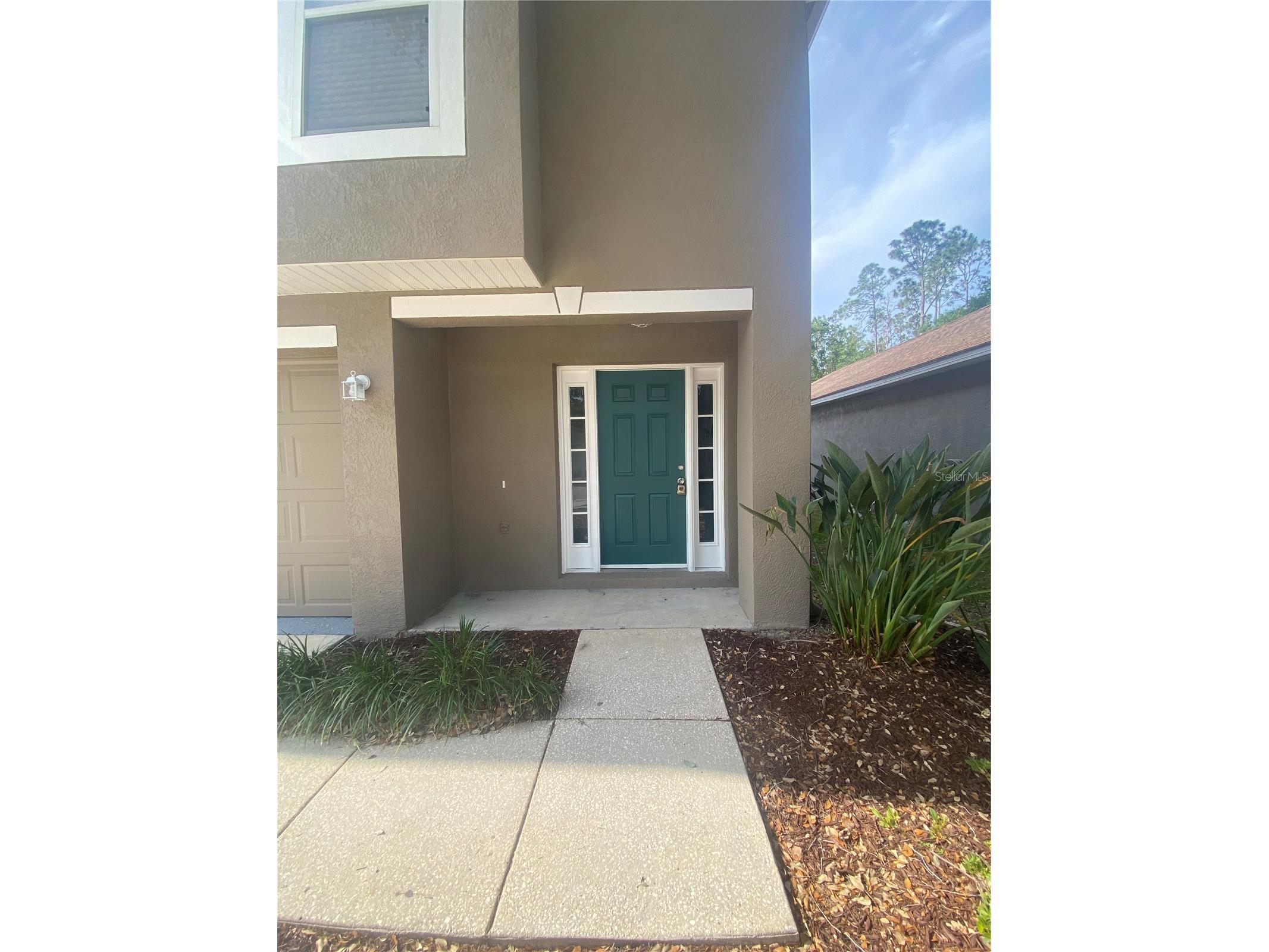 30302 Double Drive Wesley Chapel FL 33545 TB8517140 image2
