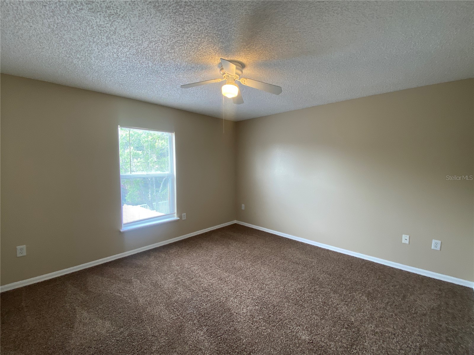 30302 Double Drive Wesley Chapel FL 33545 TB8517140 image20