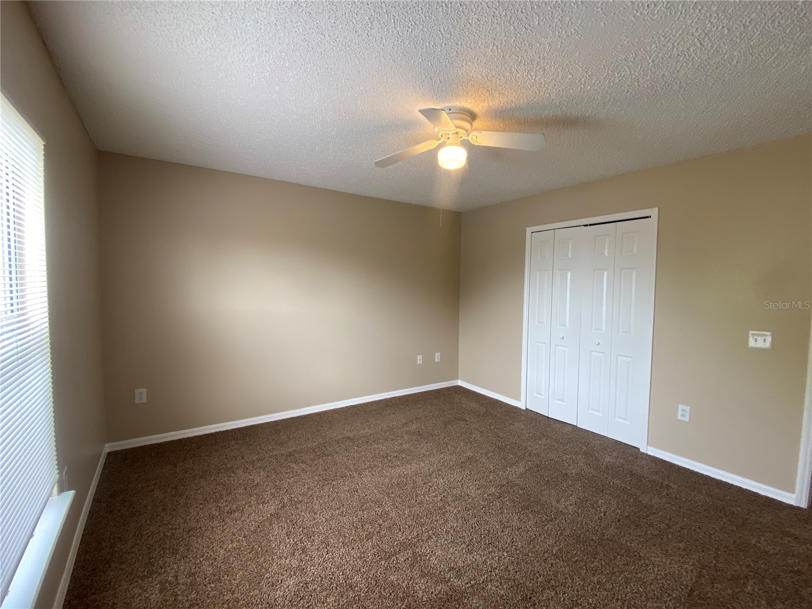 30302 Double Drive Wesley Chapel FL 33545 TB8517140 image21