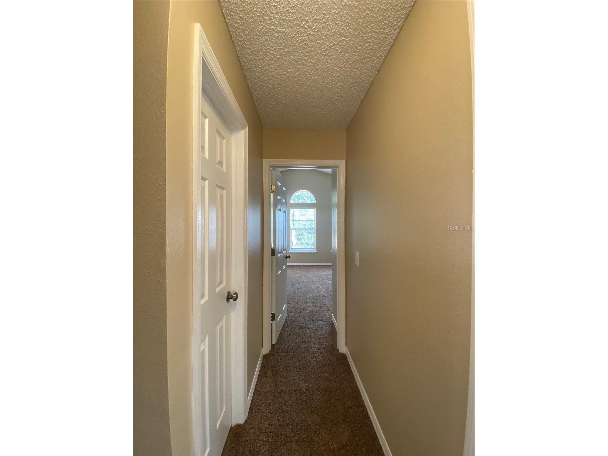 30302 Double Drive Wesley Chapel FL 33545 TB8517140 image22