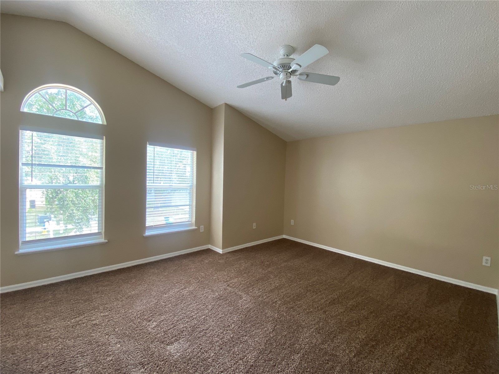 30302 Double Drive Wesley Chapel FL 33545 TB8517140 image24