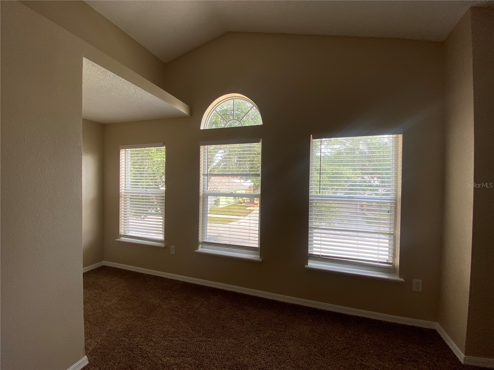 30302 Double Drive Wesley Chapel FL 33545 TB8517140 image25