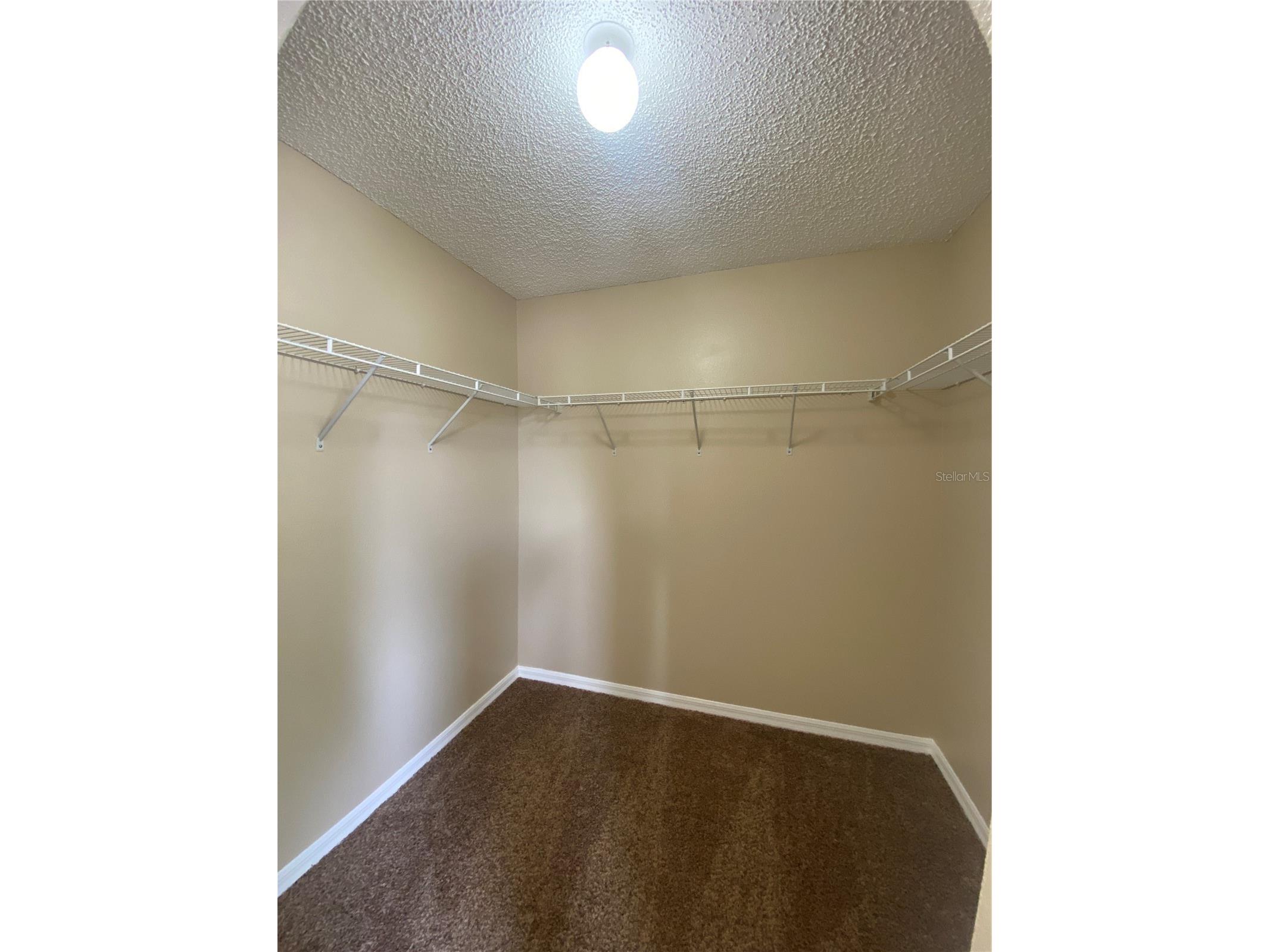 30302 Double Drive Wesley Chapel FL 33545 TB8517140 image26