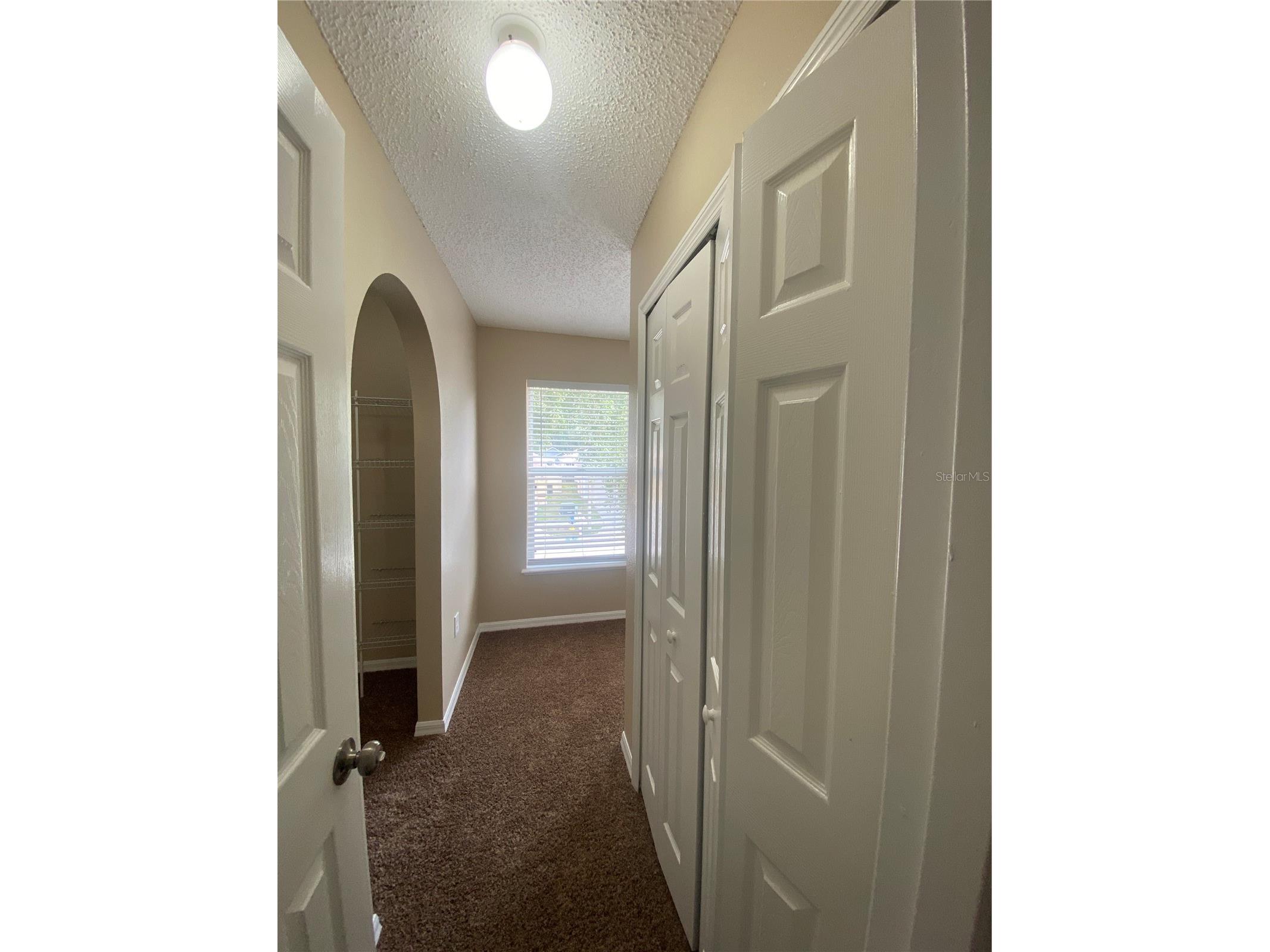 30302 Double Drive Wesley Chapel FL 33545 TB8517140 image28