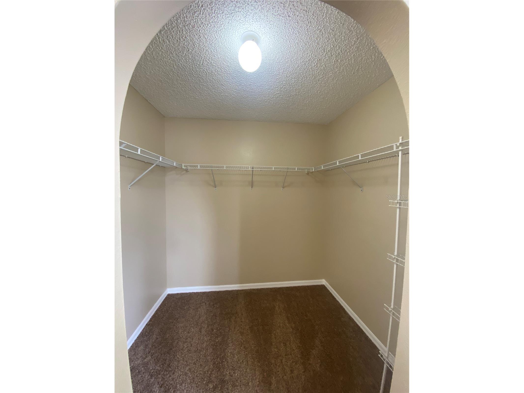 30302 Double Drive Wesley Chapel FL 33545 TB8517140 image29