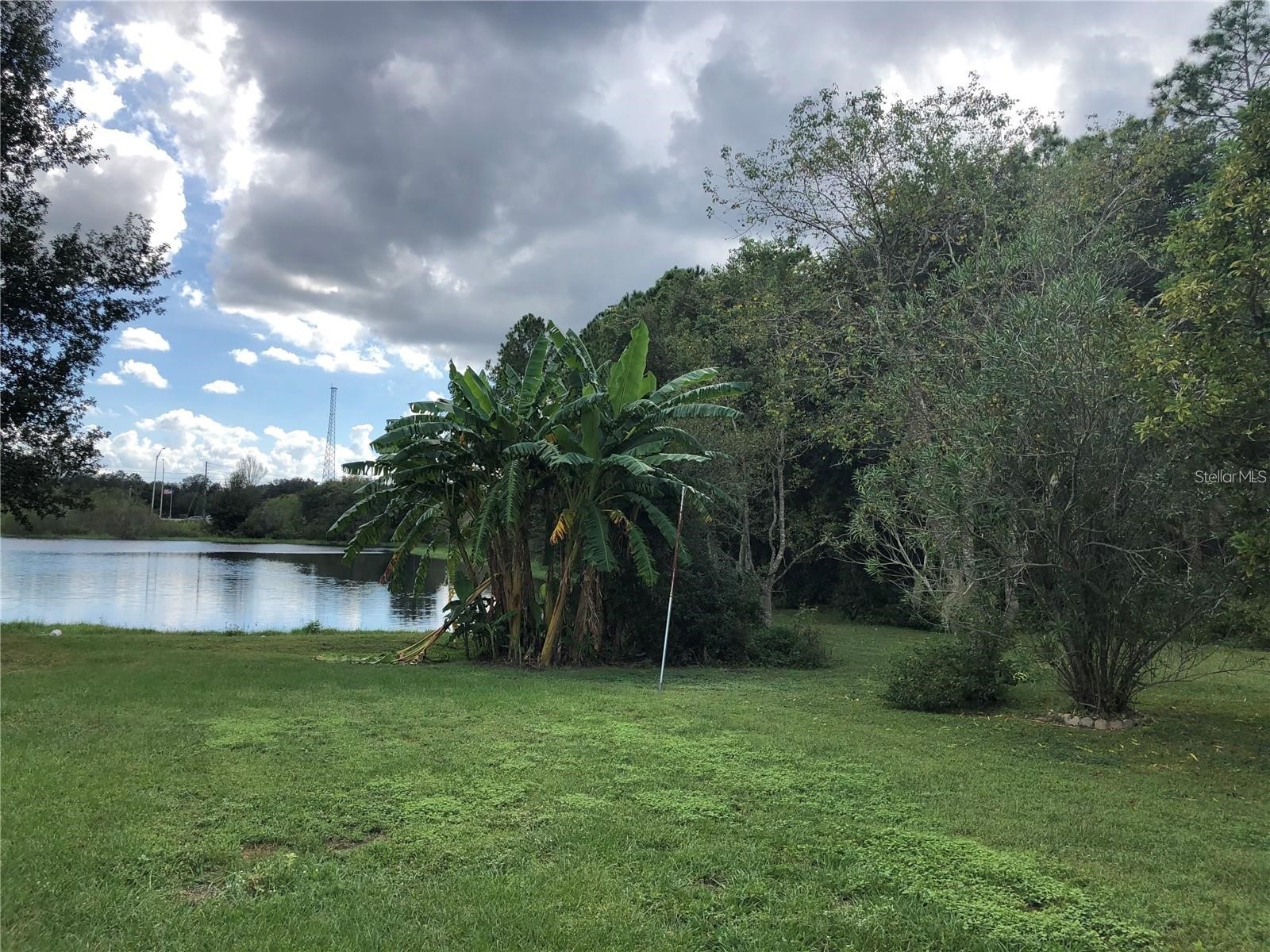 30302 Double Drive Wesley Chapel FL 33545 TB8517140 image33