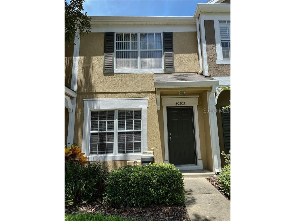 30303 Lacledes Lane Wesley Chapel FL 33543 T3485551 image1