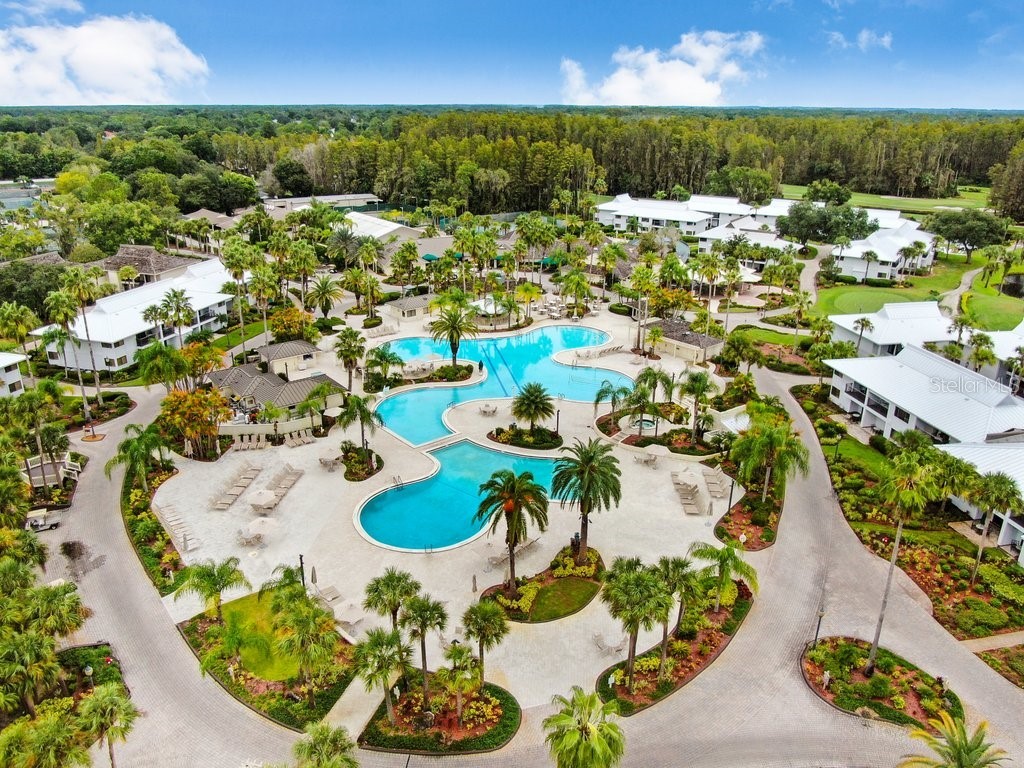30303 Laurelwood Lane Wesley Chapel FL 33543 TB8507752 image65
