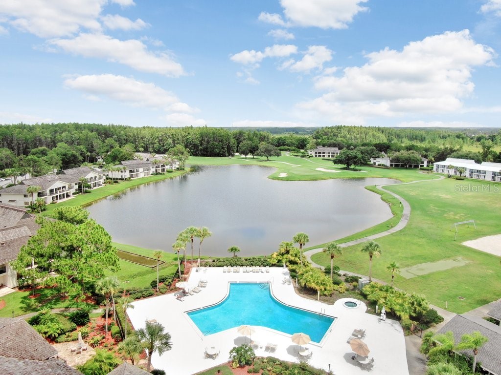 30303 Laurelwood Lane Wesley Chapel FL 33543 TB8507752 image71