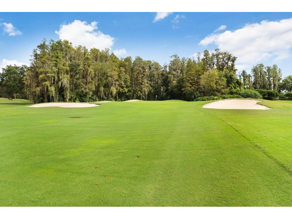 30303 Laurelwood Lane Wesley Chapel FL 33543 TB8507752 image72