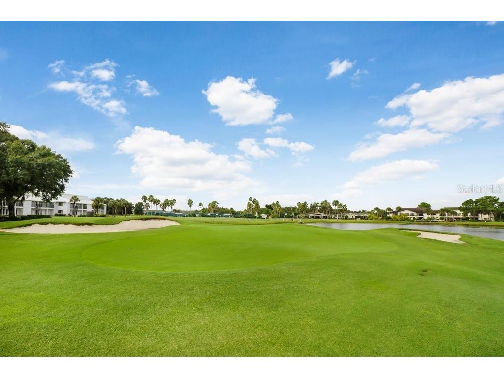 30303 Laurelwood Lane Wesley Chapel FL 33543 TB8507752 image73