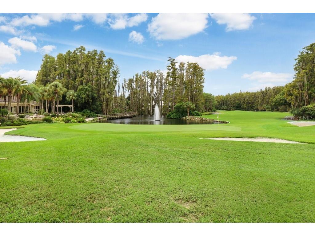 30303 Laurelwood Lane Wesley Chapel FL 33543 TB8507752 image77