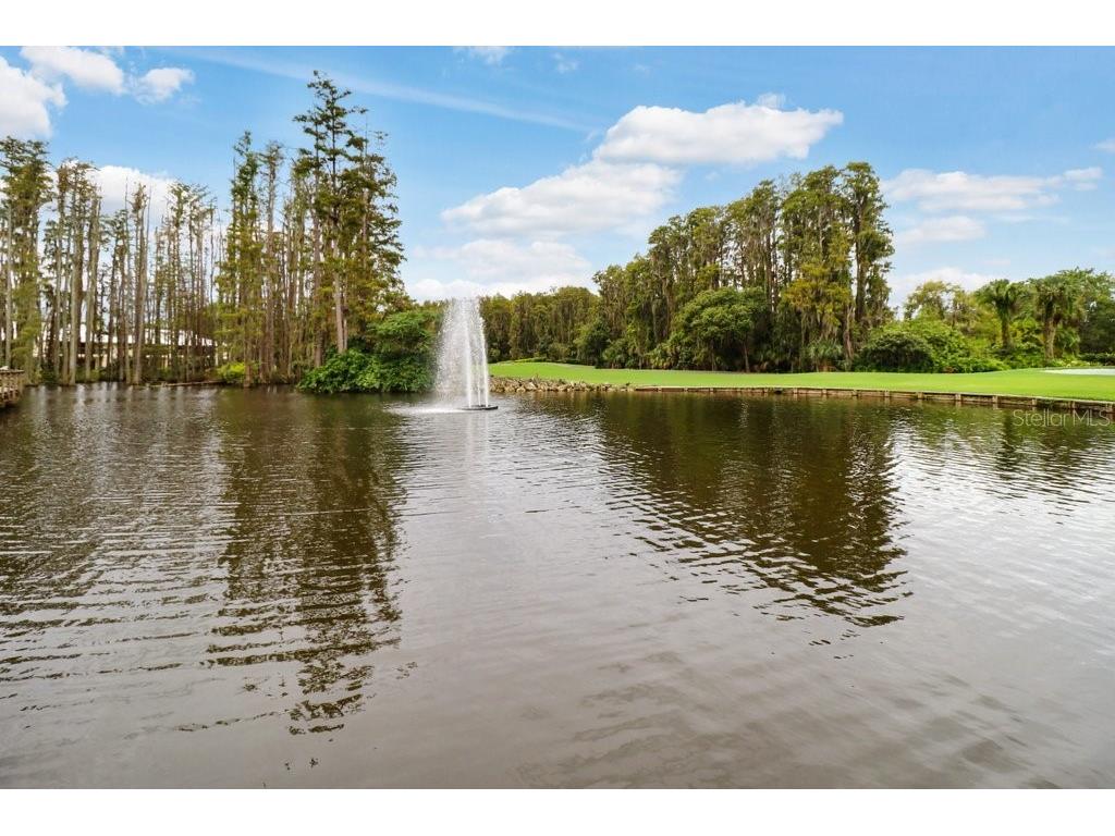 30303 Laurelwood Lane Wesley Chapel FL 33543 TB8507752 image80