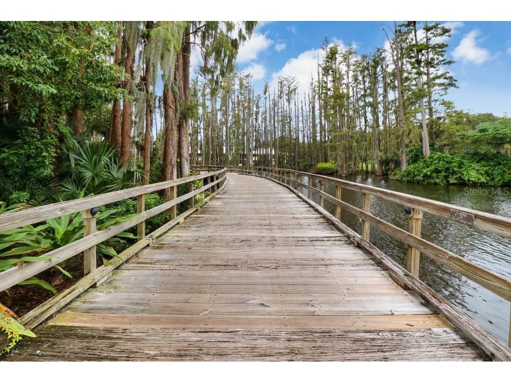 30303 Laurelwood Lane Wesley Chapel FL 33543 TB8507752 image81