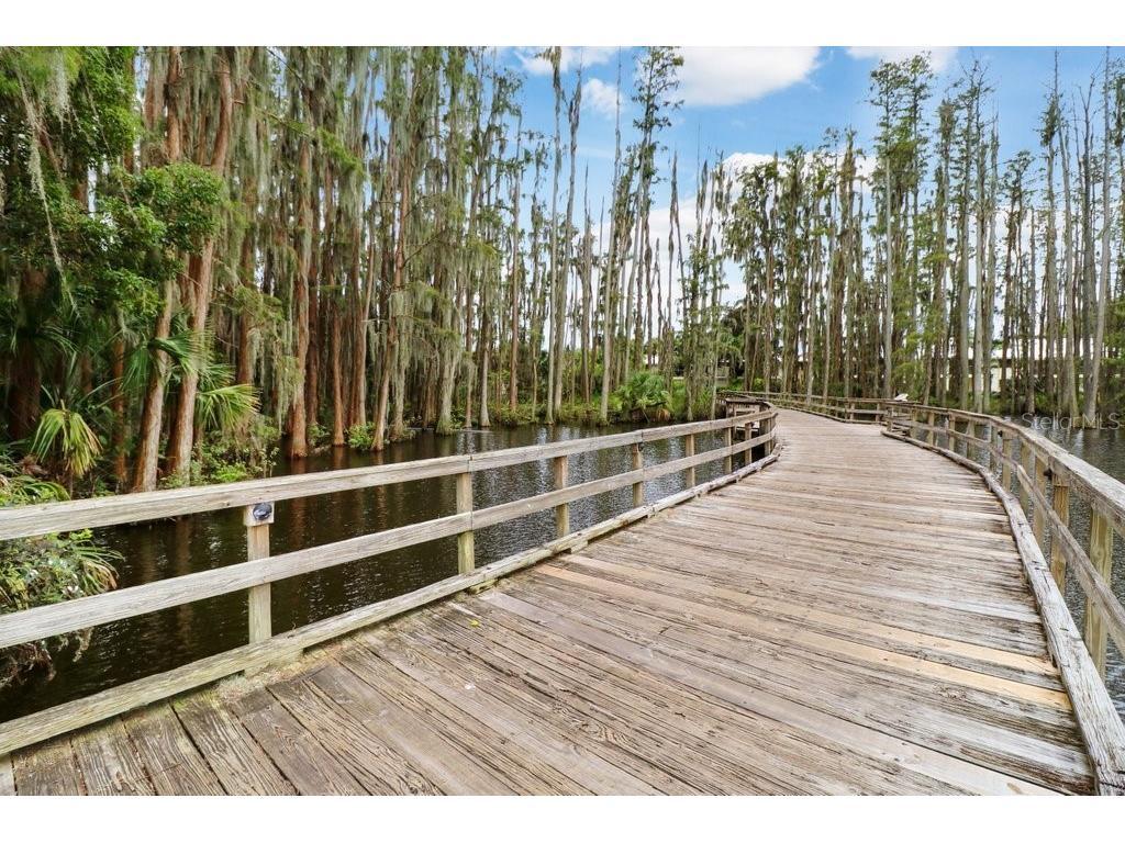 30303 Laurelwood Lane Wesley Chapel FL 33543 TB8507752 image82