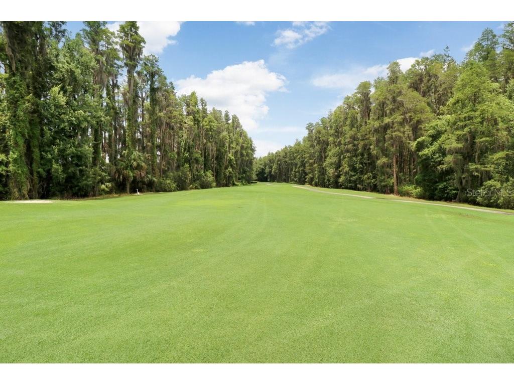 30303 Laurelwood Lane Wesley Chapel FL 33543 TB8507752 image96
