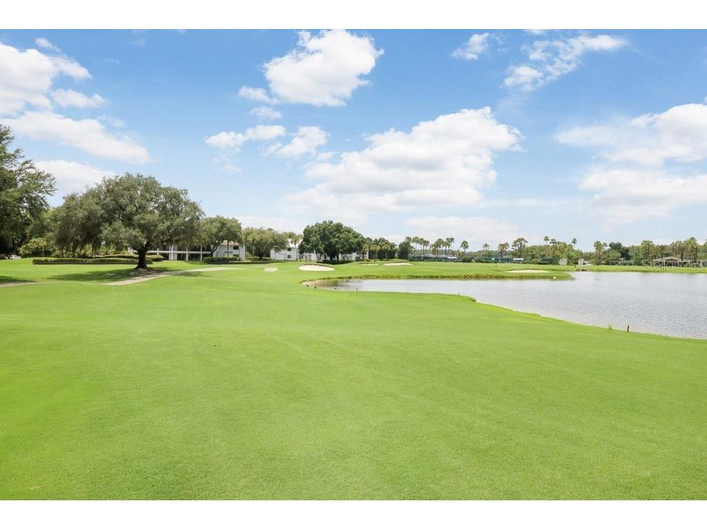 30303 Laurelwood Lane Wesley Chapel FL 33543 TB8507752 image97