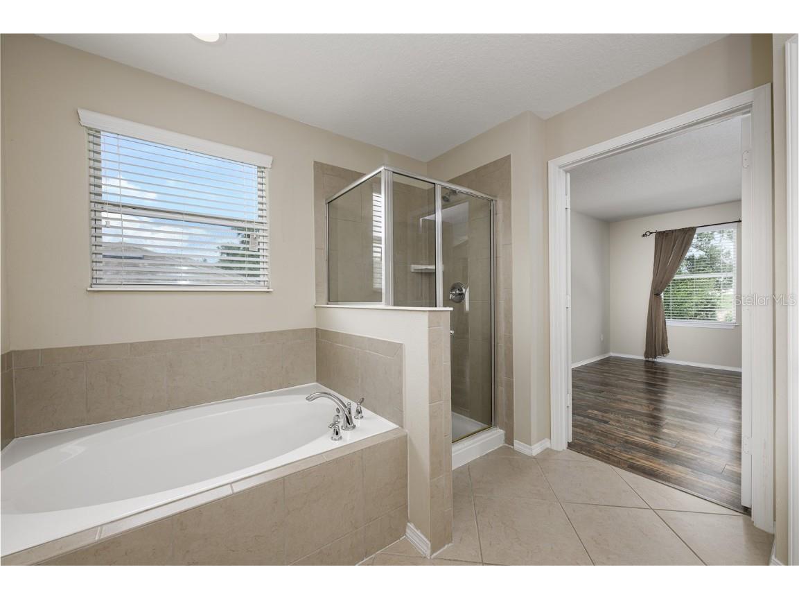 30304 Cheval Street Mount Dora FL 32757 G5099259 image34