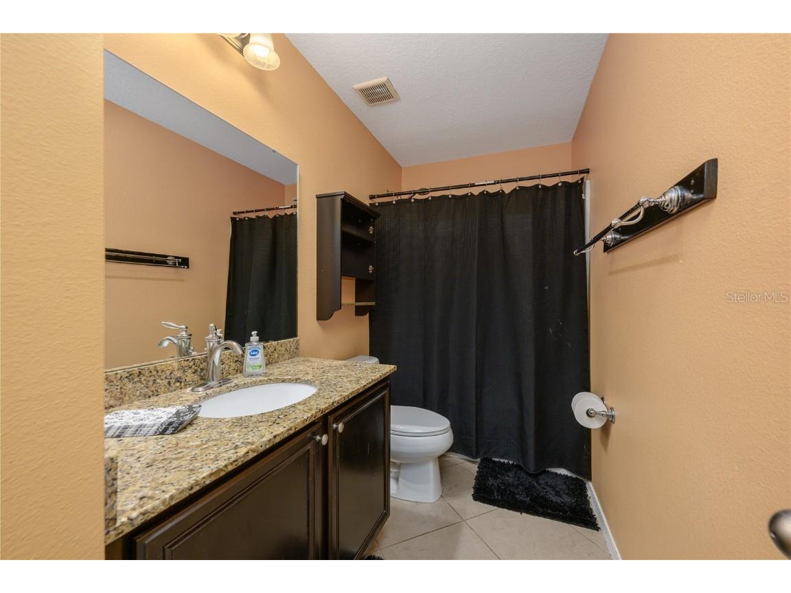 30304 Cheval Street Mount Dora FL 32757 G5099259 image36