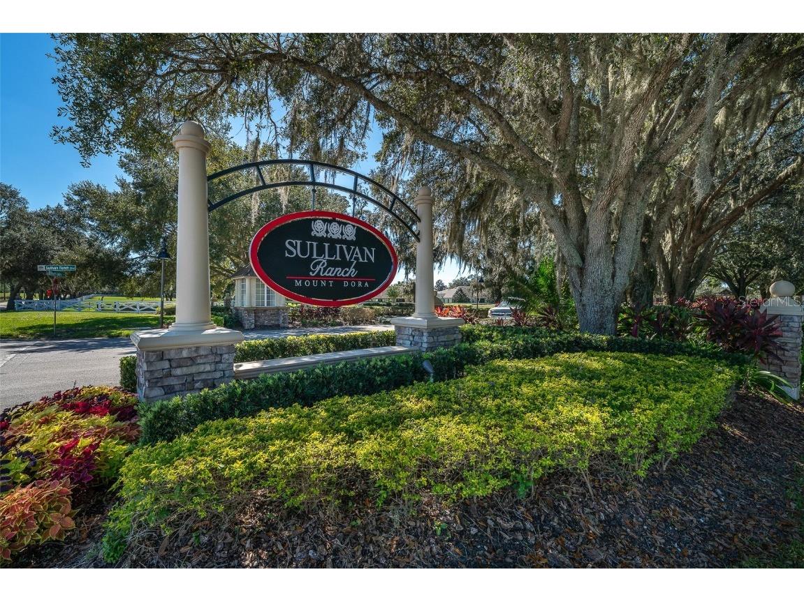 30304 Cheval Street Mount Dora FL 32757 G5099259 image37