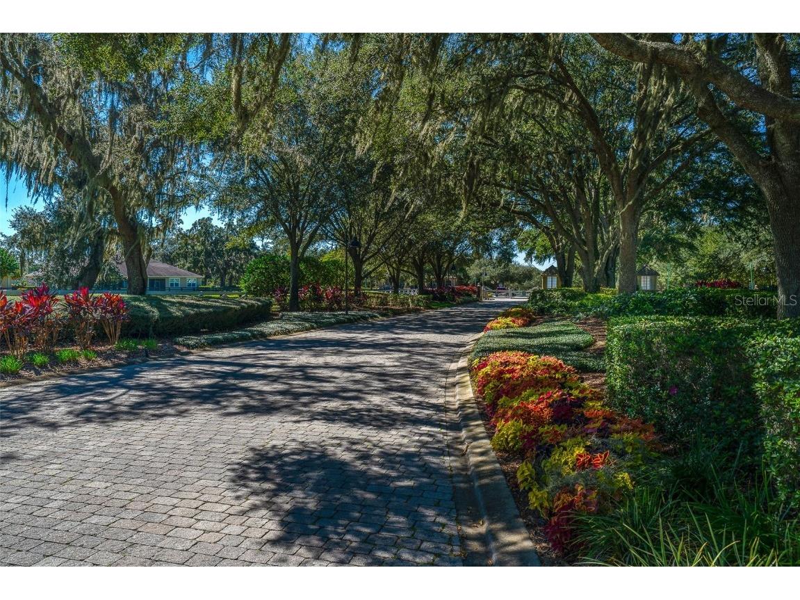 30304 Cheval Street Mount Dora FL 32757 G5099259 image38