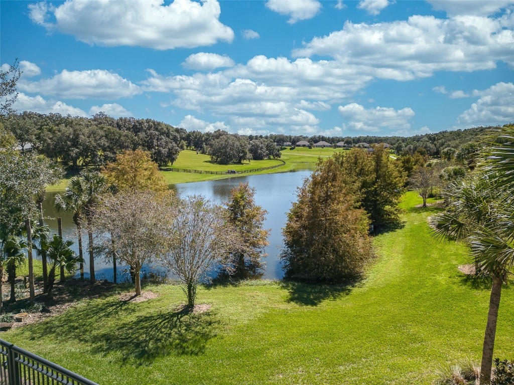 30304 Cheval Street Mount Dora FL 32757 G5099259 image45