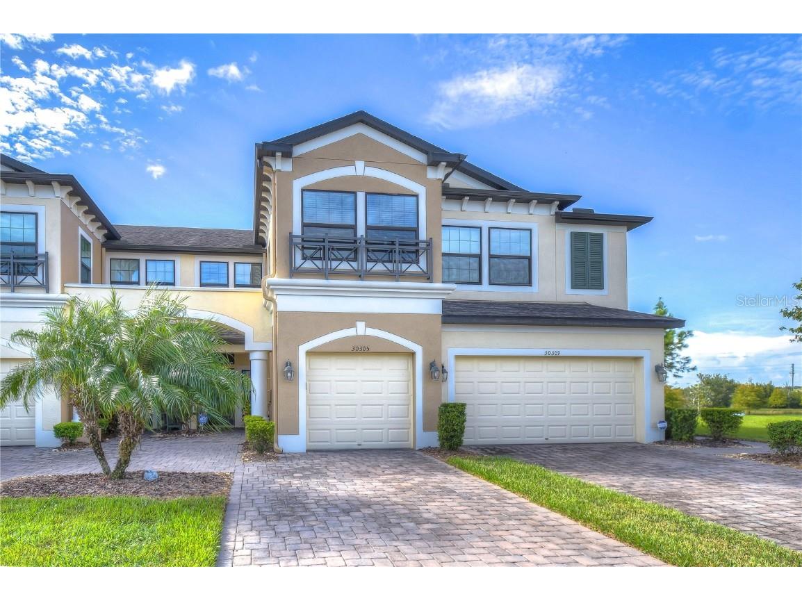 30305 Southwell Lane Wesley Chapel FL 33543 T3473100 image1