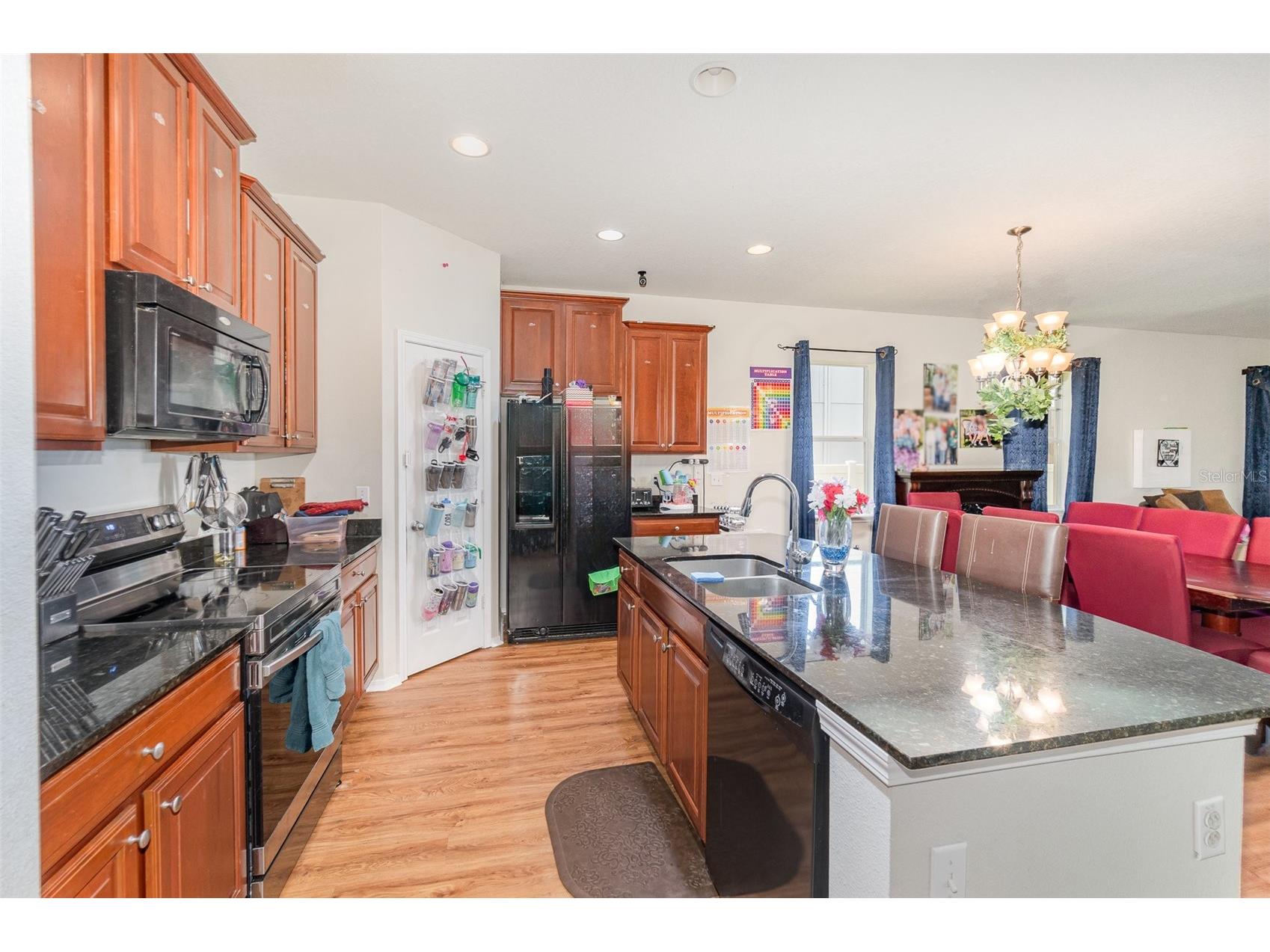 30308 Cheval Street Mount Dora FL 32757 O6319648 image10